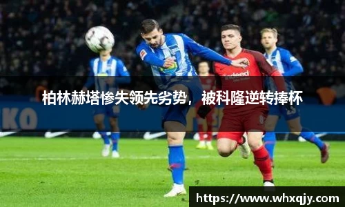 leyu乐鱼体育