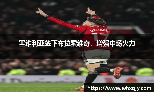 塞维利亚签下布拉索维奇，增强中场火力