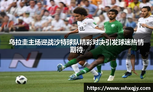 leyu乐鱼体育